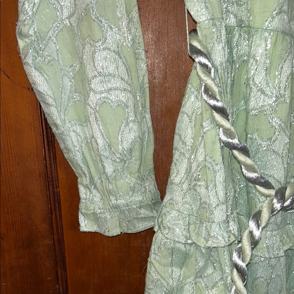 NWT Roller Rabbit Green & Silver Dress with belt - size Medium - Picture 7 of 9